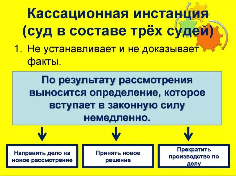 функции кассационных инстанций