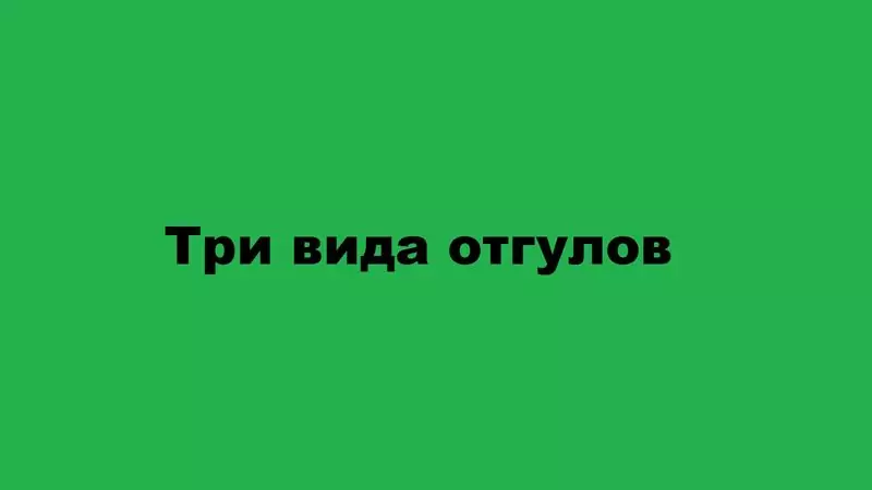 Виды отгулов