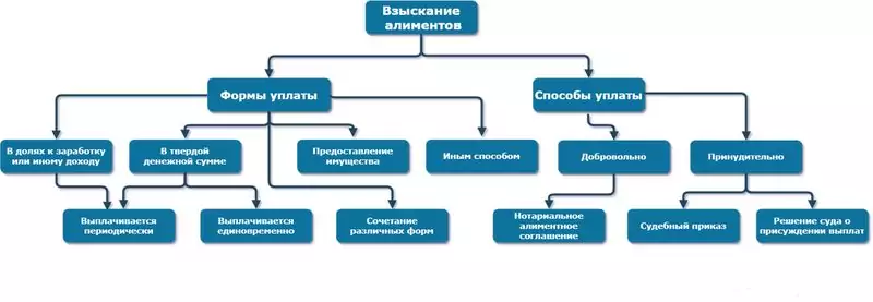 Порядок взыскания алиментов